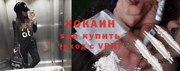 шишки Кулебаки