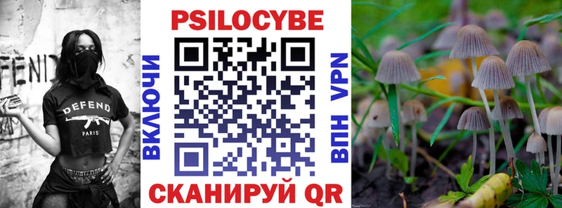 Псилоцибиновые грибы Psilocybe  Лесной 
